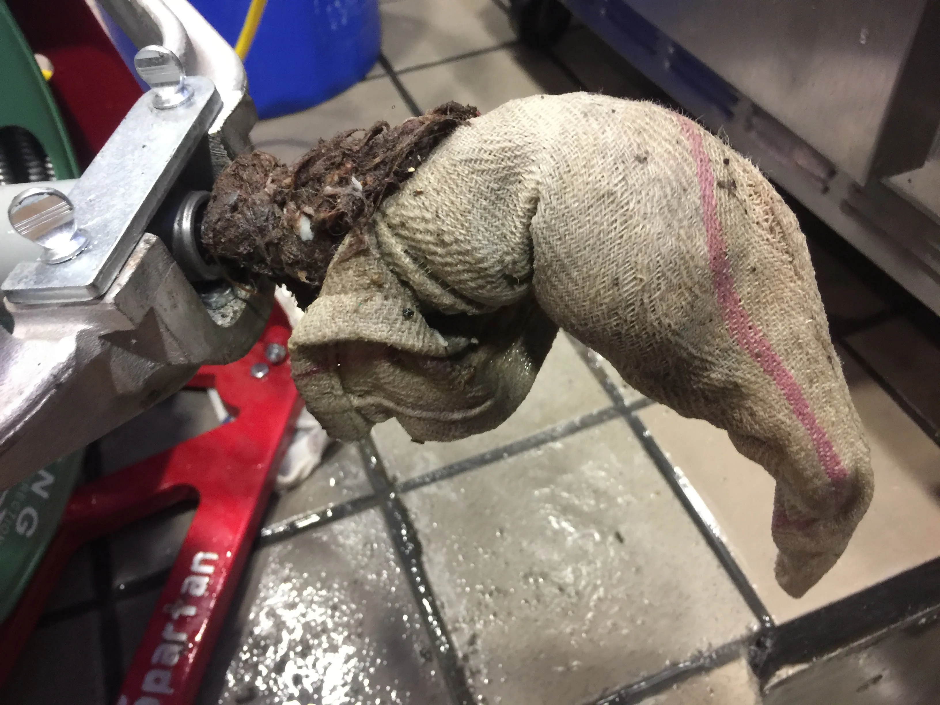 A rag and grease clog pulled from a drain line on a Spartan drain machine