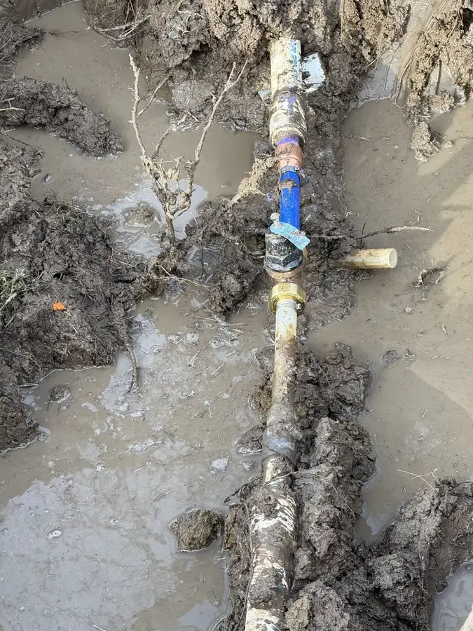 A water line exposed in a muddy trench with a blue repair fitting